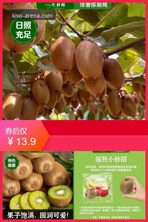 奇异果体育2026更新下载不了怎么办 奇异果体育2026更新下载不了?深度解析问题根源与完整解决方案